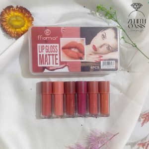Lip Gloss Matte in 6 lovely Shades